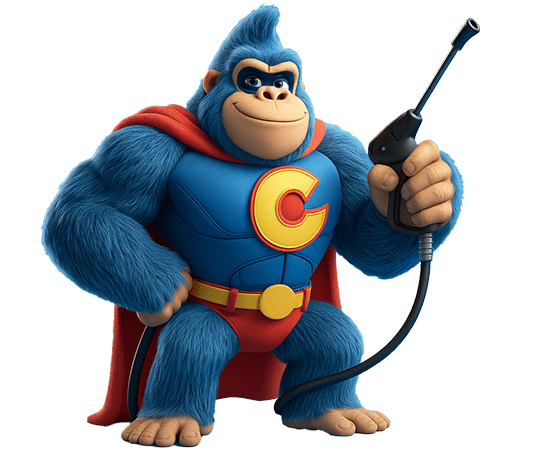 Blauer Gorilla hält Fassadenreinigungsgerät in der Hand